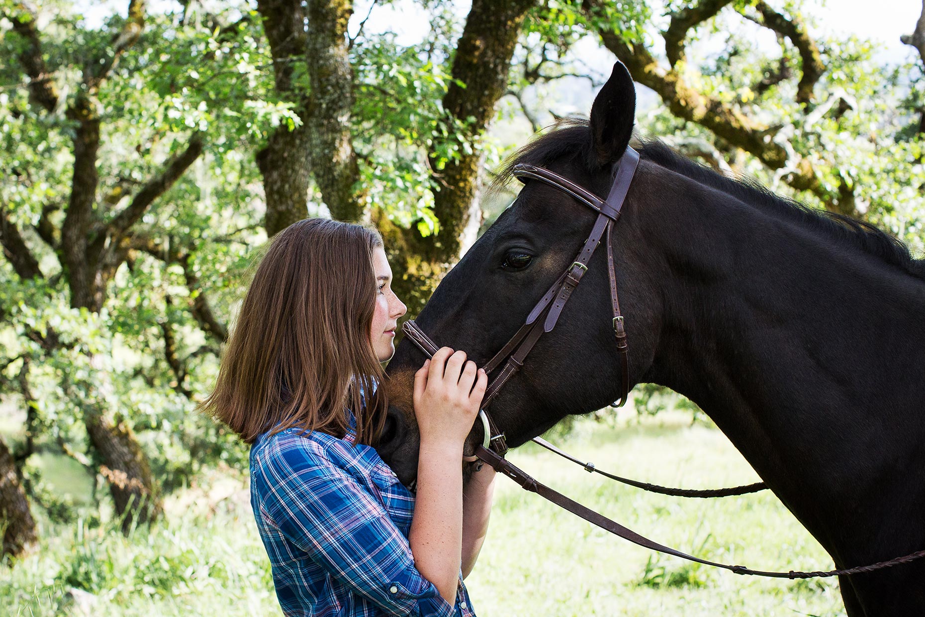 0058.180427.Sequoia.profilehorse.EMP